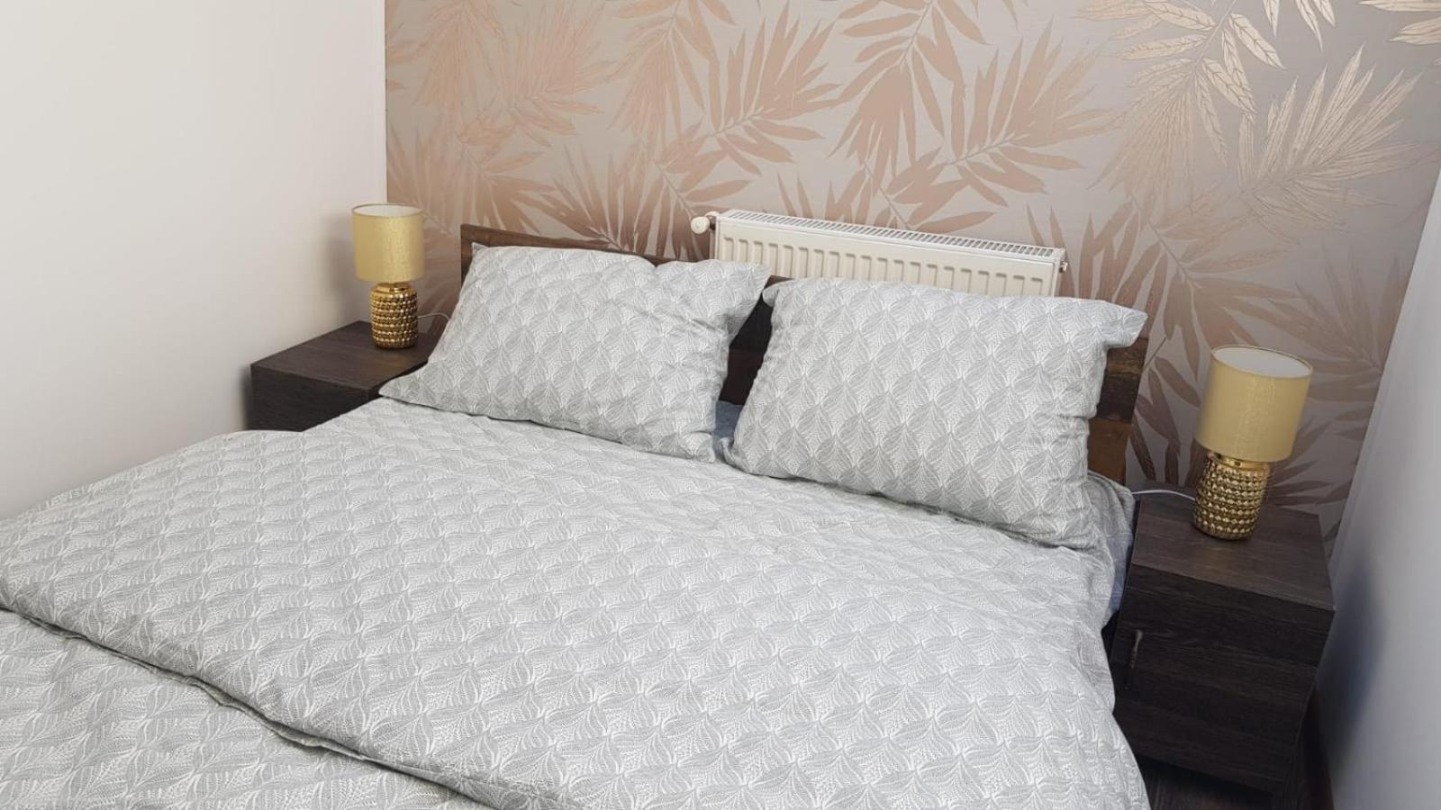Cosy 2 Bedroom In New Town Apartment Brasov